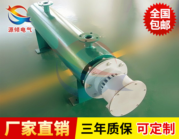 浸入式電加熱器